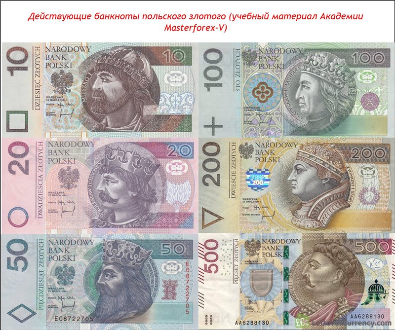 Польская валюта: какие деньги в польше?